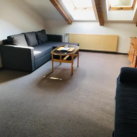 Dynamic Újtölgyes
