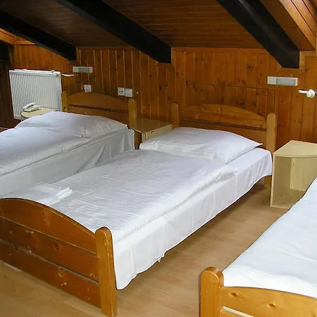 Dynamic Nová Dubnica