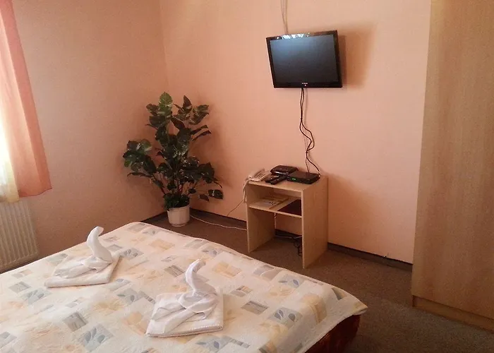 Otel Dynamic 3*