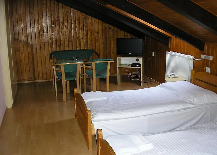 Dynamic Nová Dubnica