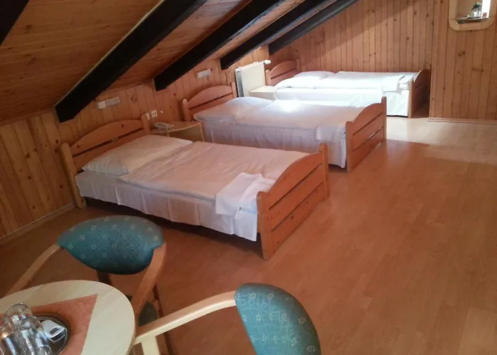 Dynamic Nová Dubnica